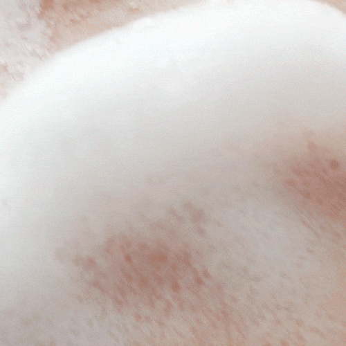 Isntree - Mugwort Calming Powder Wash 15g Isntree