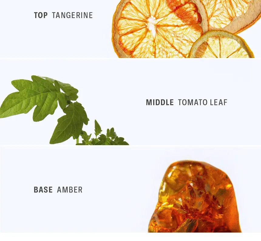 Braye - Scented Balm - Blue Jean Braye