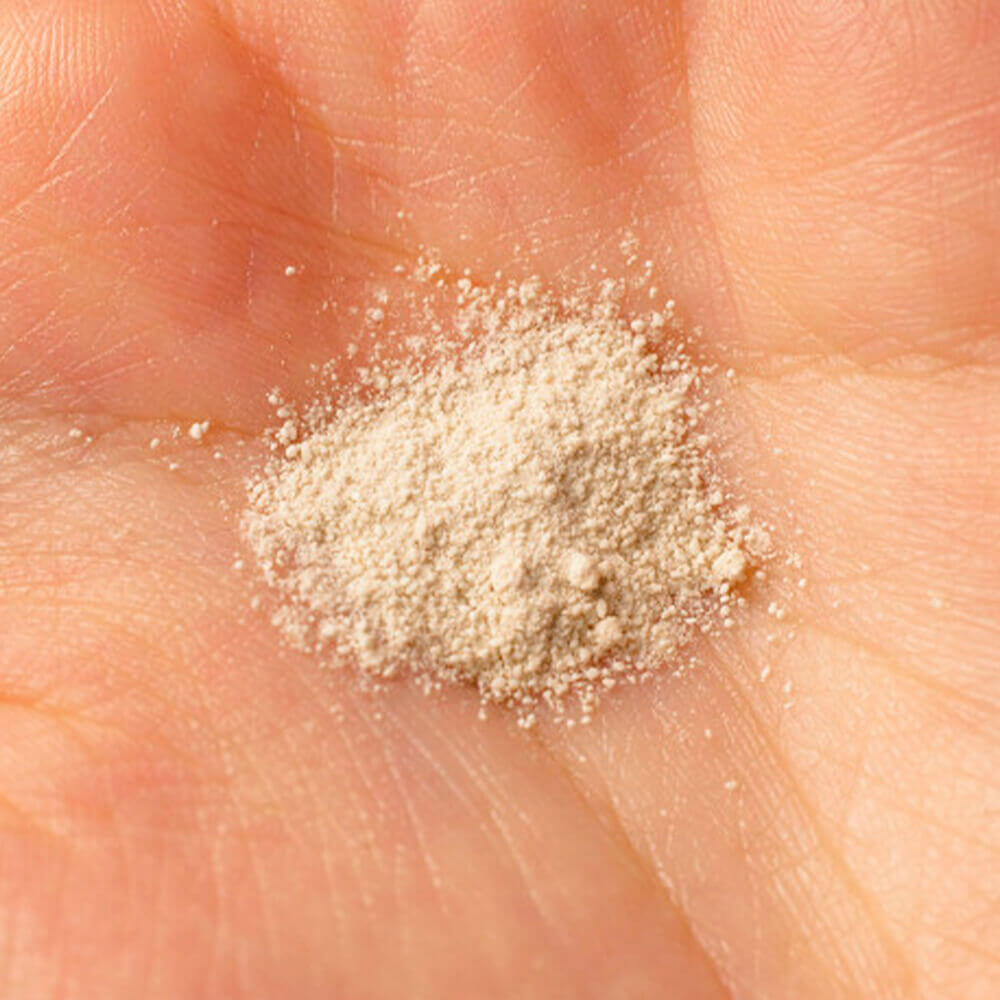 By Wishtrend - Green Tea & Enzyme Powder Wash JUMBO 110g By Wishtrend