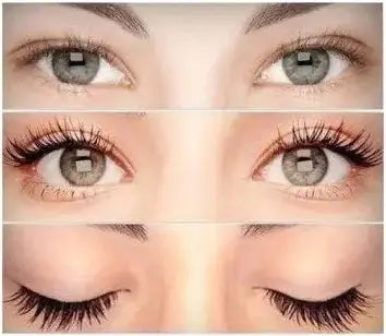 Farm Stay - Visible Difference Volume Up Mascara 12g Farm Stay